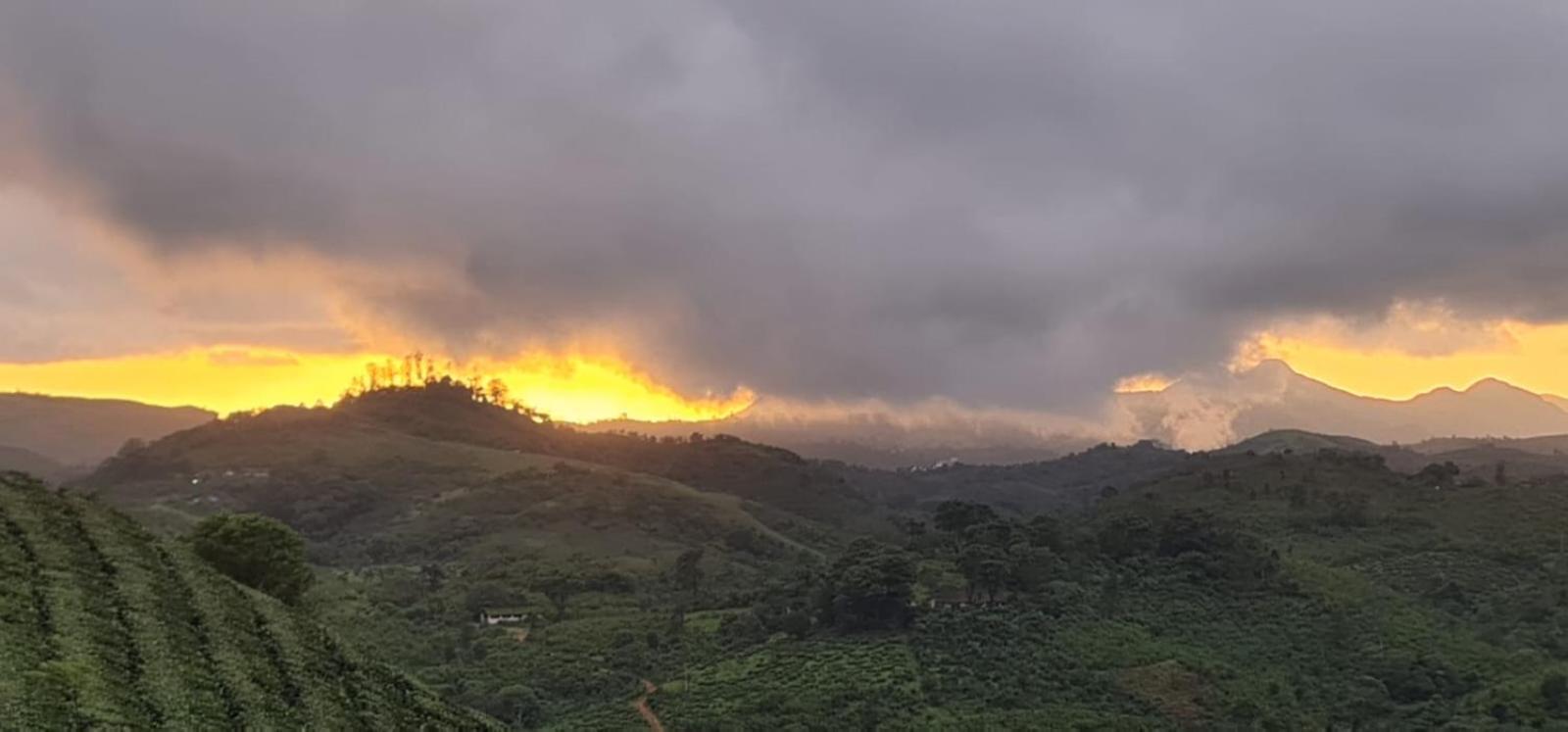 Vaga Mist Resort Vagamon Idukki Exteriér fotografie